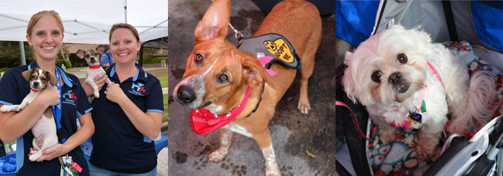 PMAD 2016 Lancaster PA