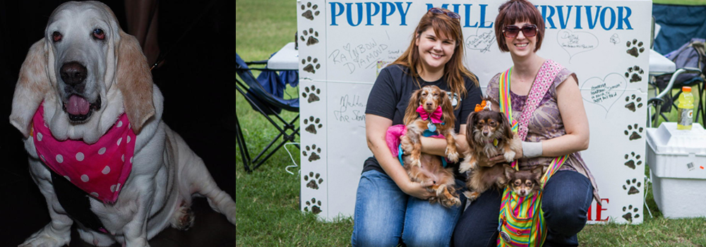 PMAD2012 Austin Texas