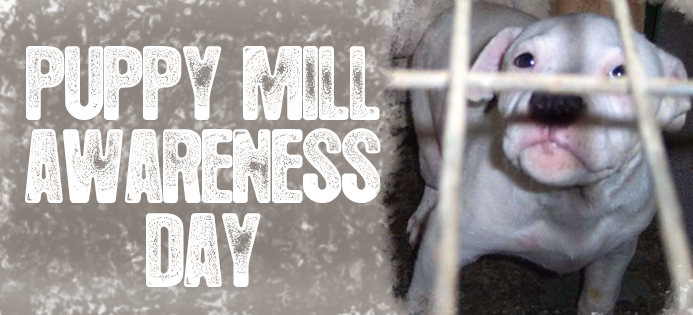 puppy mill awareness day header