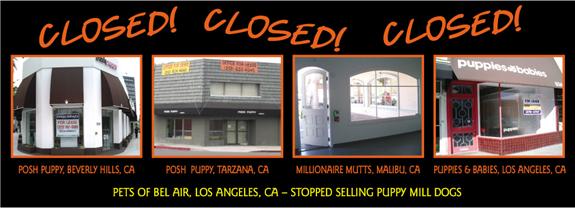 closed pet stores