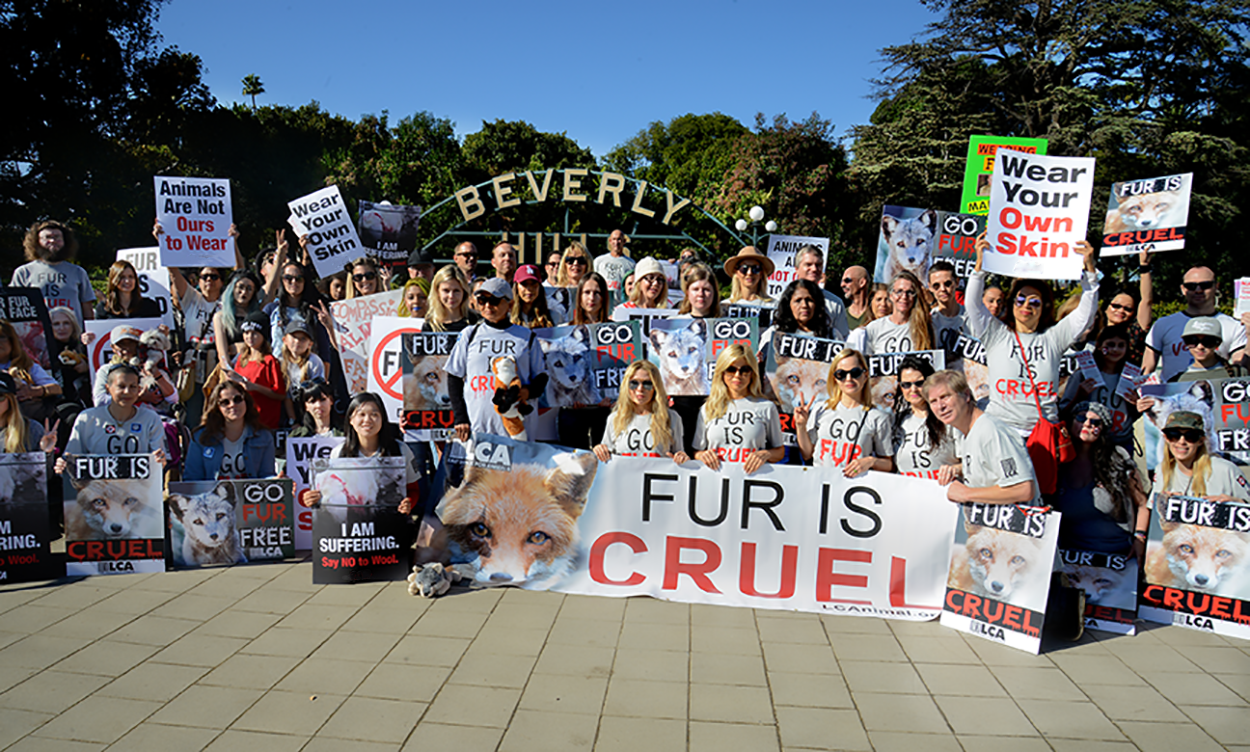 Beverly Hills sign group photo