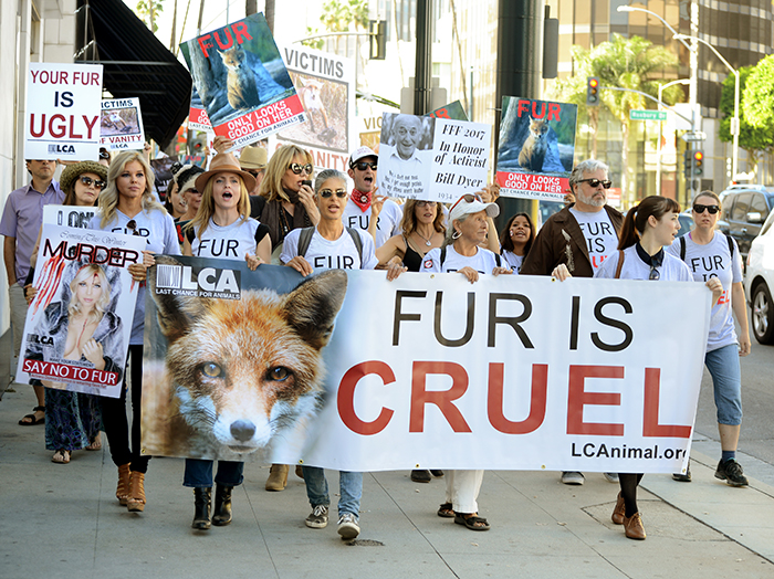 Mena Suvari Donna DEricco FFF