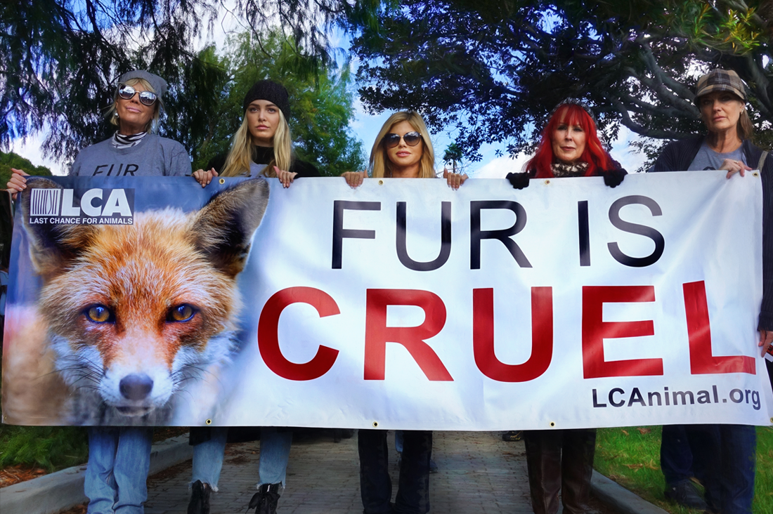 donna and raine banner