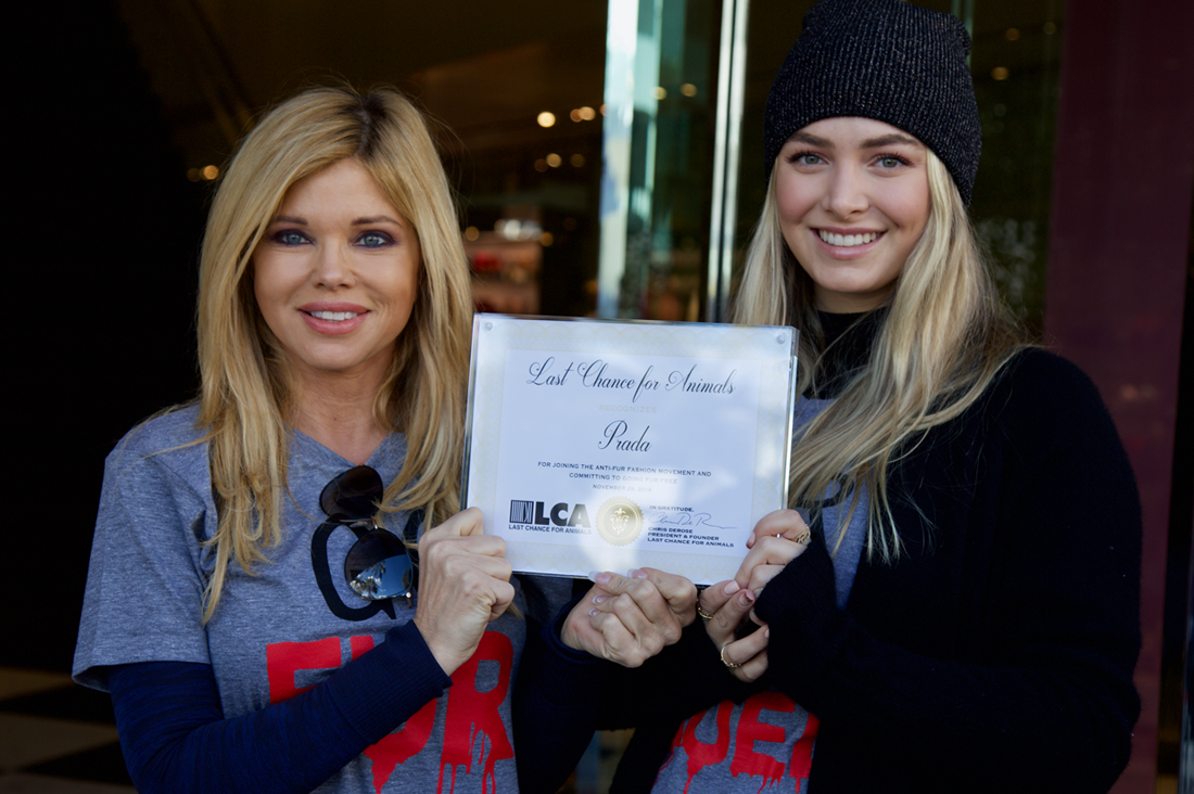 donna and raine prada certificate