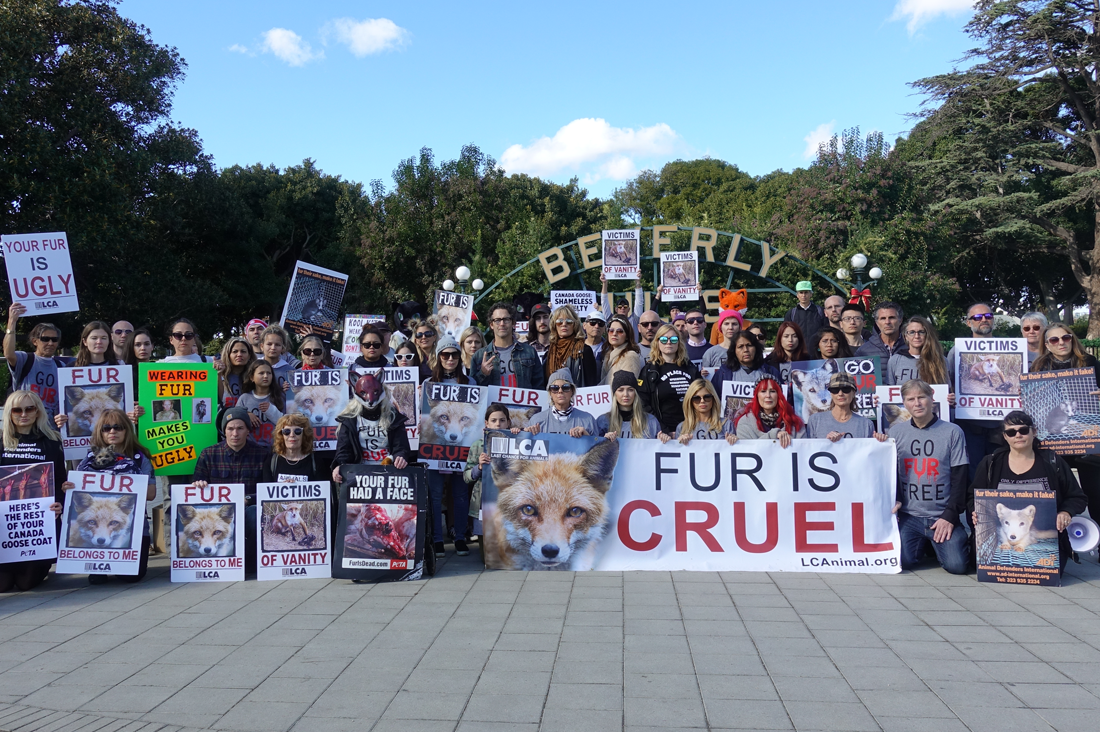 group shot beverly hills sign