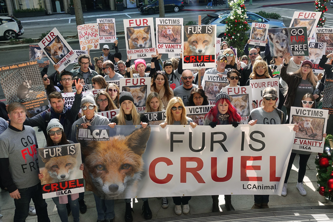 group shot on stairs