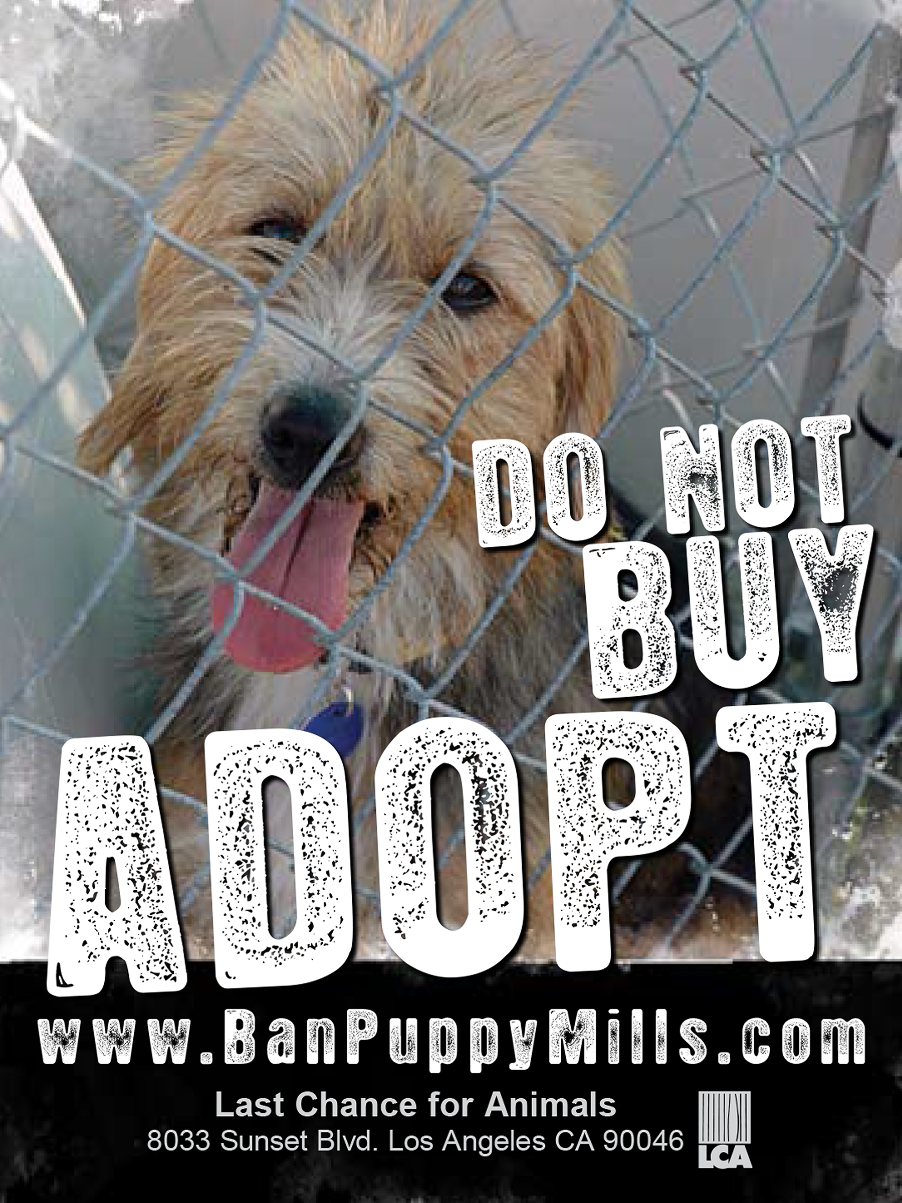 do not buy adopt poster