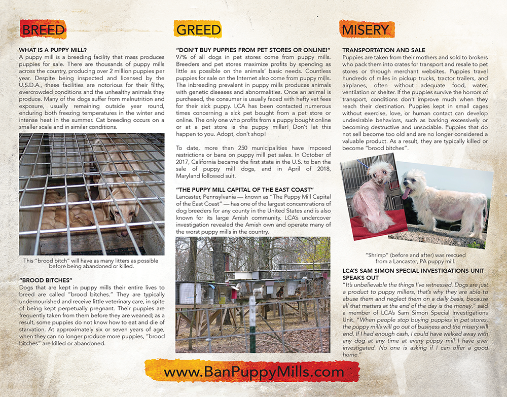 Puppy Mill Awareness Day brochure (part 2)
