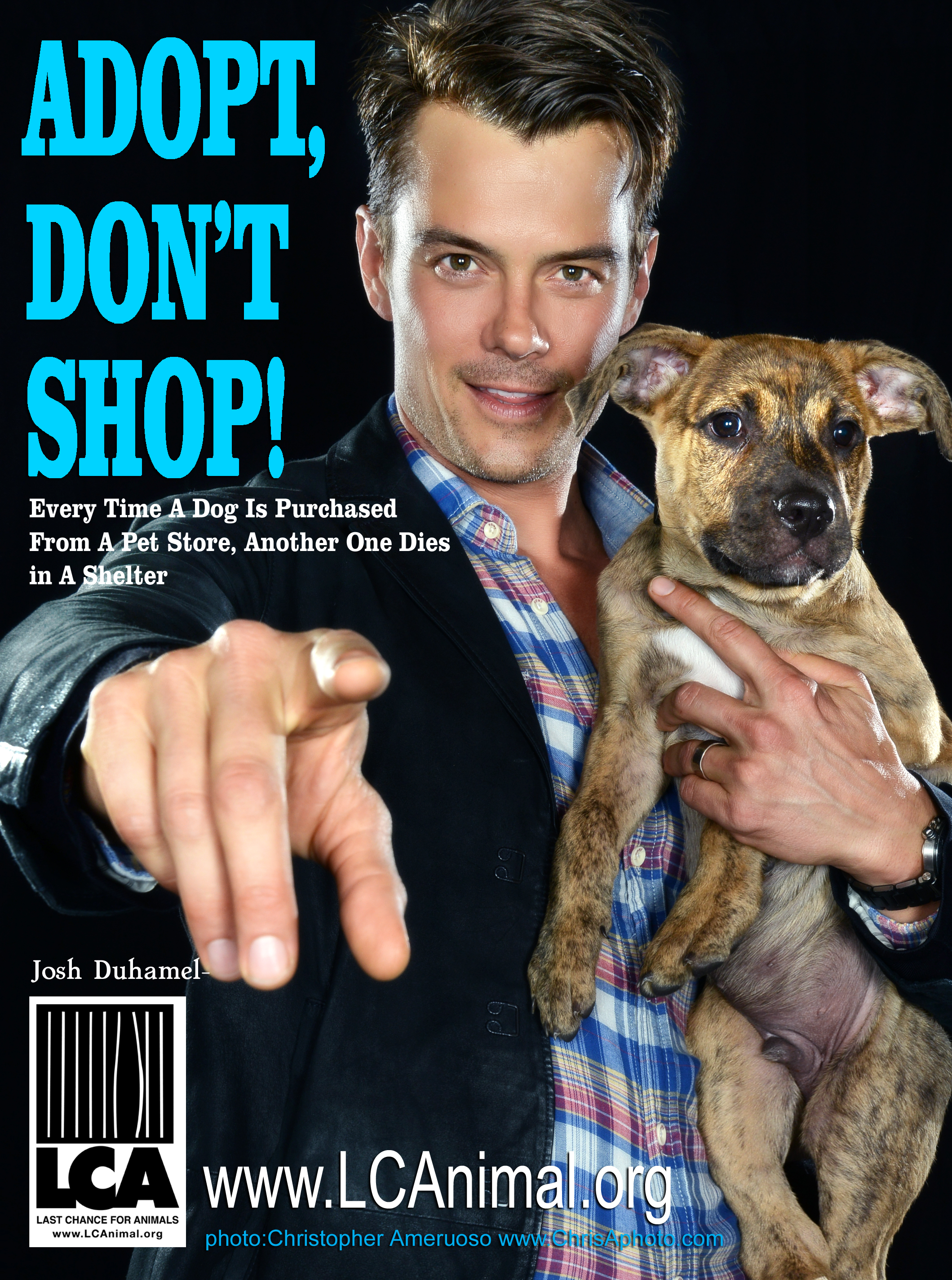 Josh D Adopt Dont