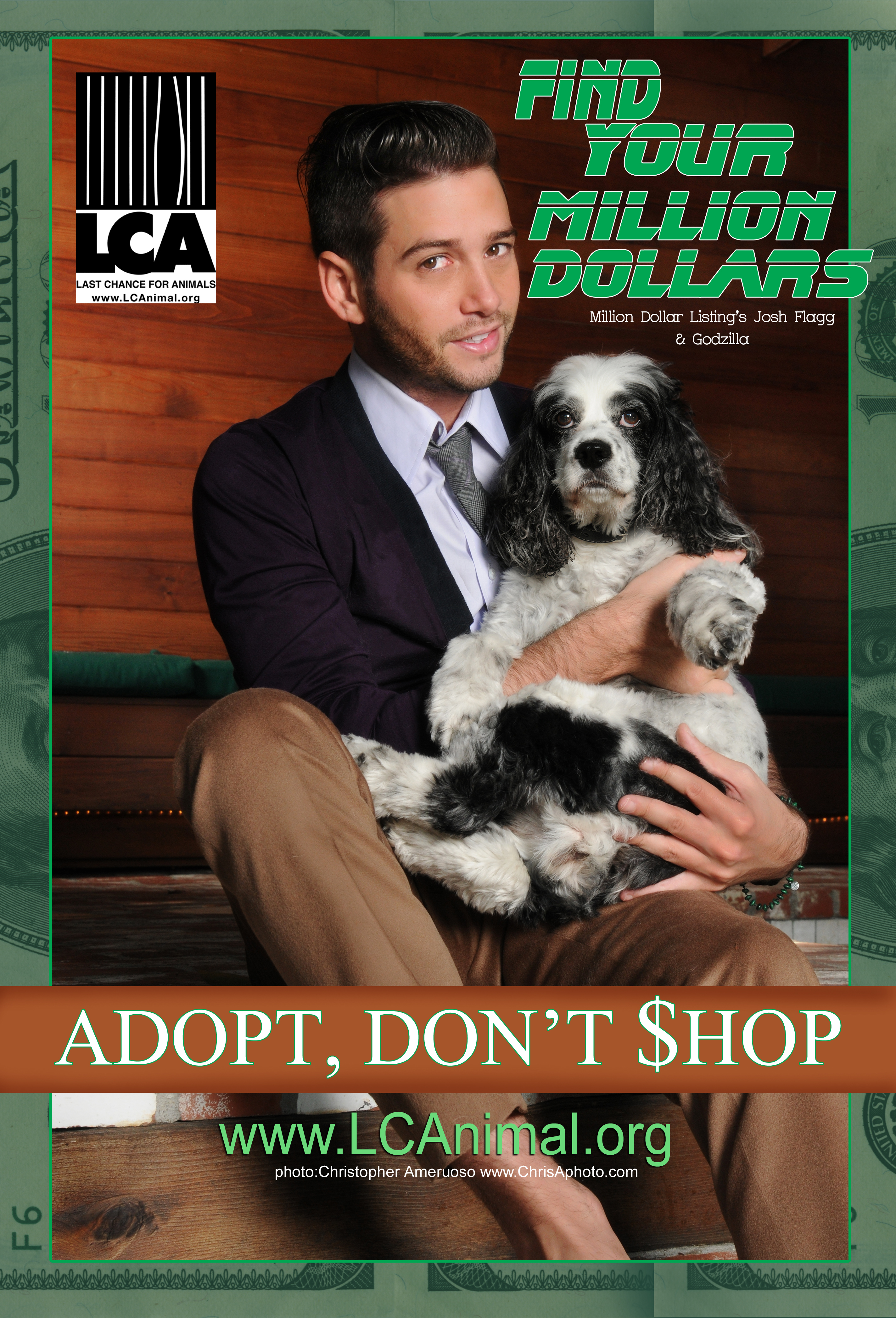 Josh Flagg Final Josh Flagg Adopt Dnt Shop high res