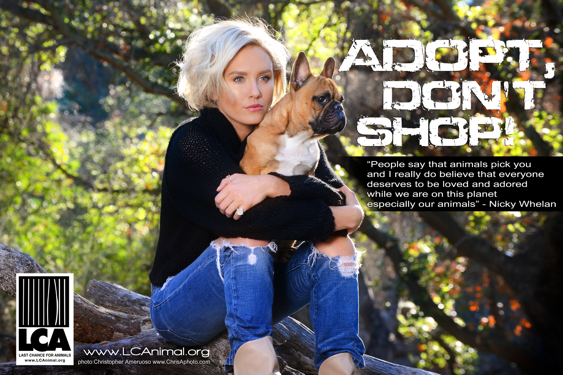 LCA Adopt