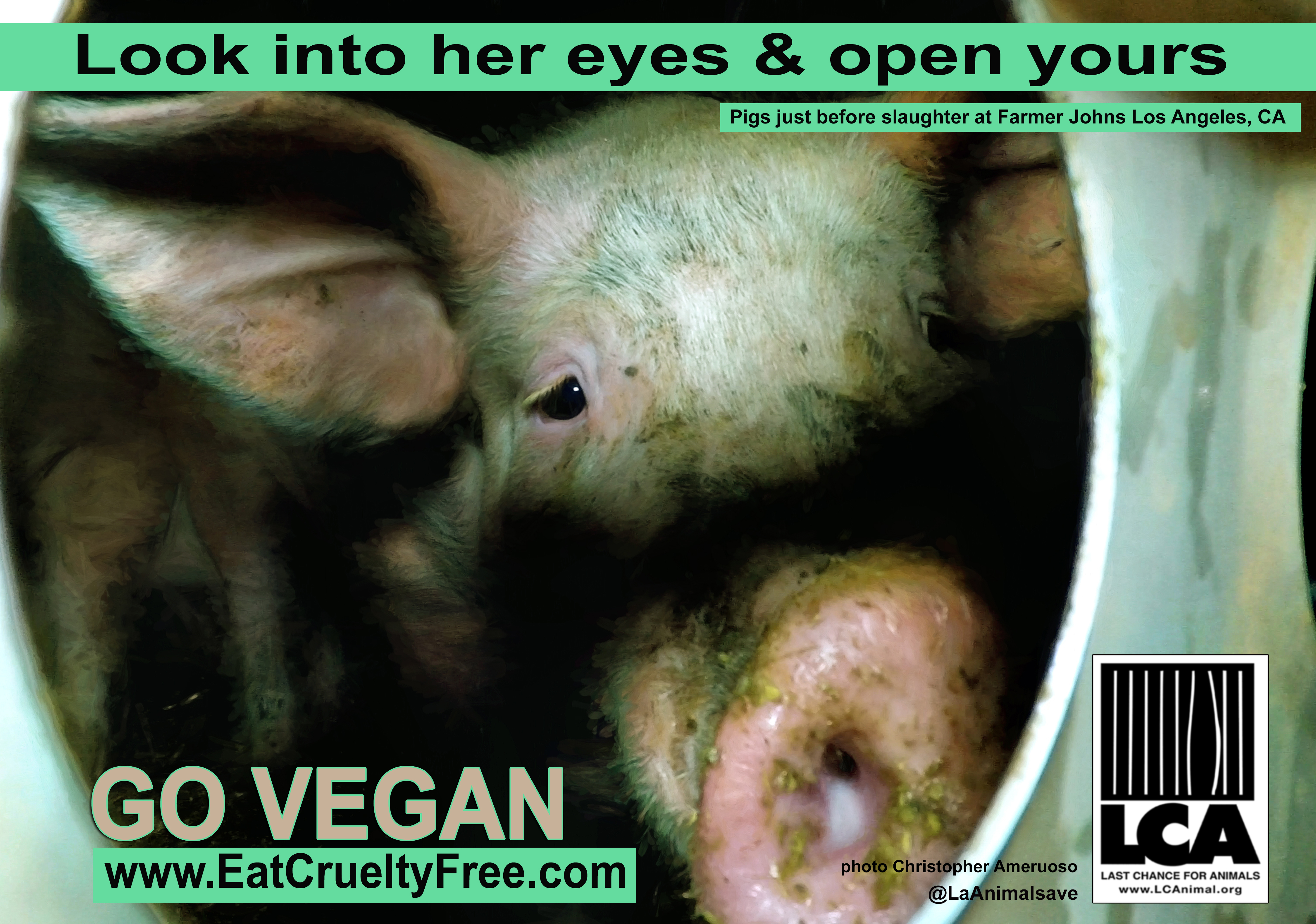 Look into her eyes