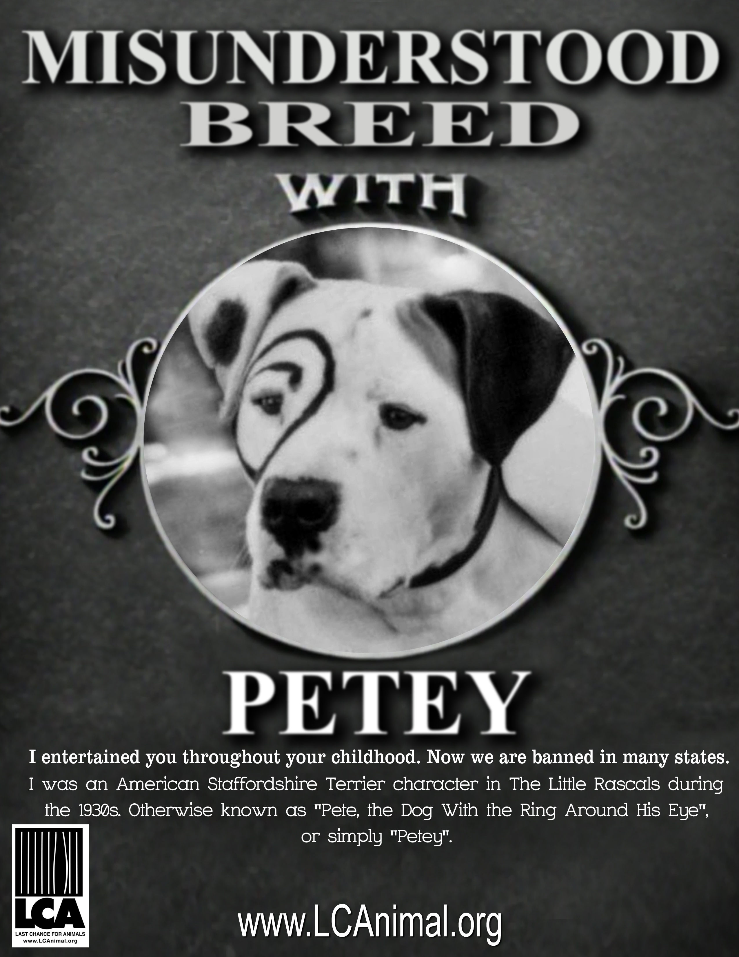 Petey hi res