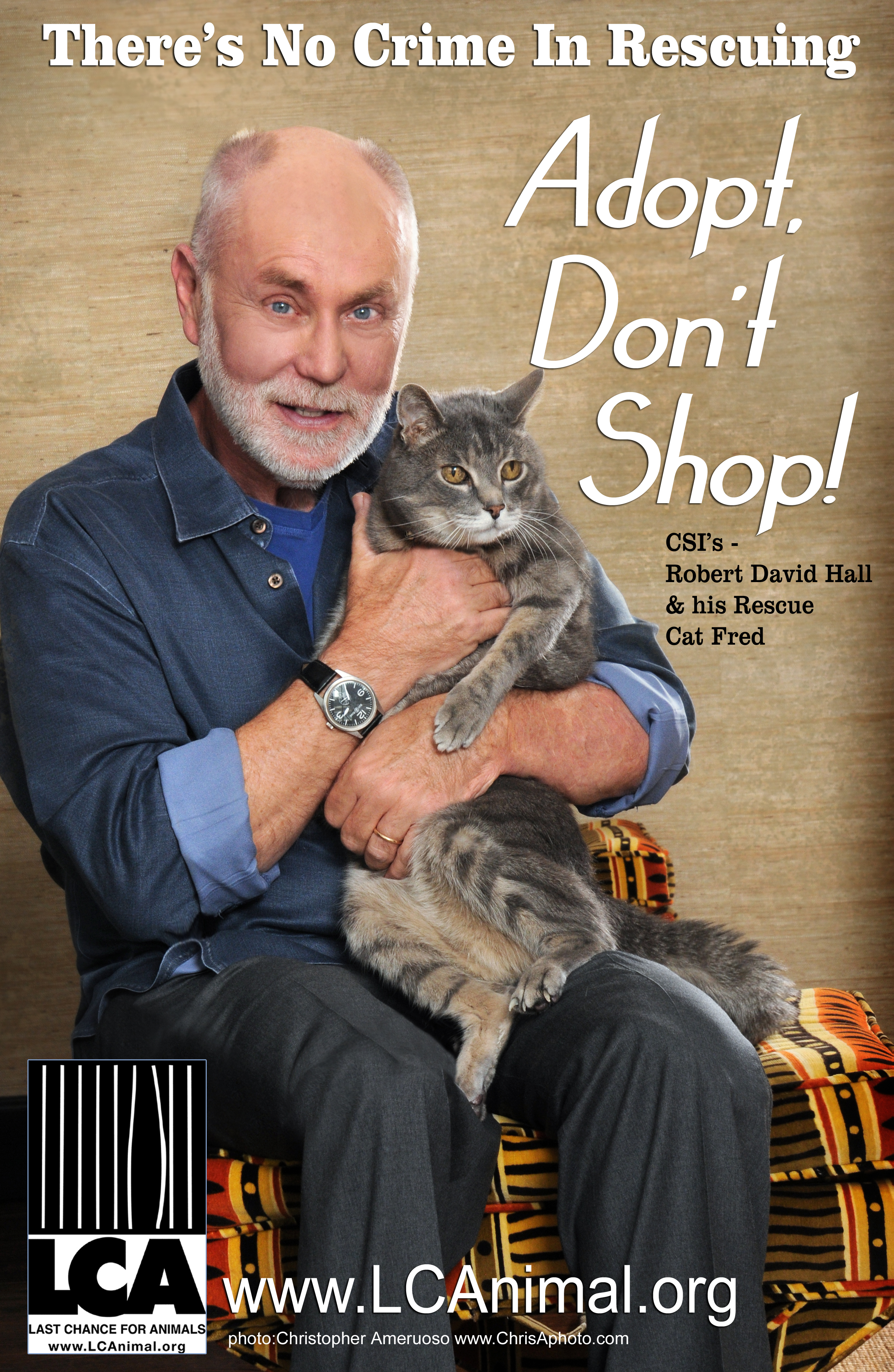 Robert David Hall 2