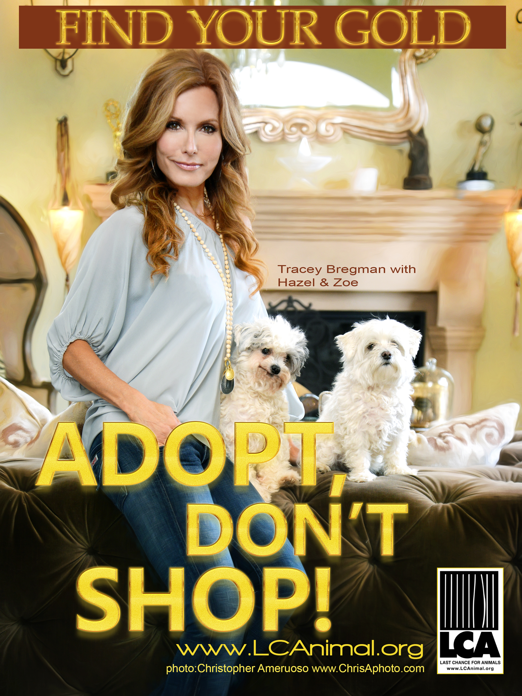Tracey B Adopt web feature