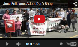 Jose Feliciano Adopt Dont Shop
