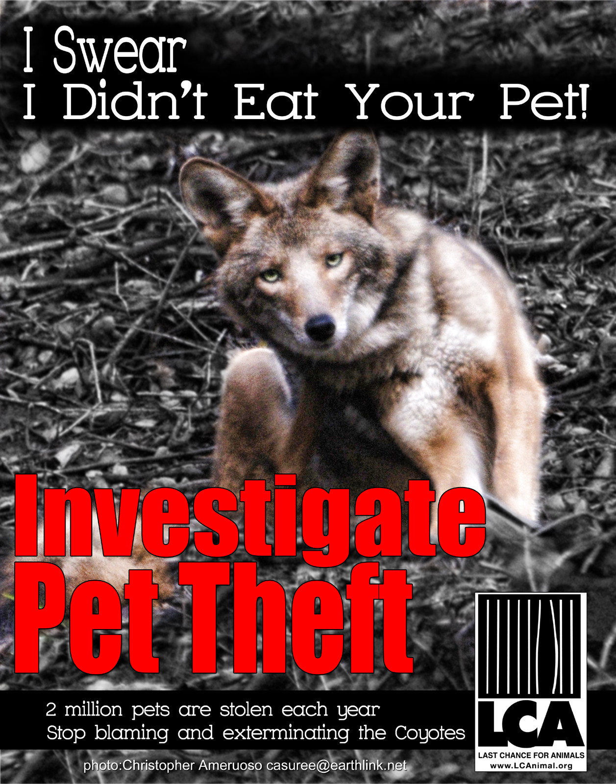 web Pet Theft